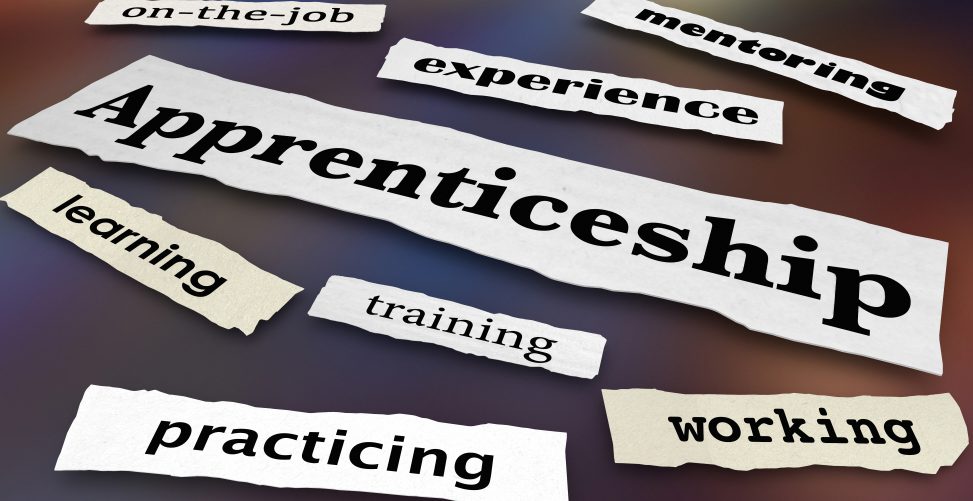 apprenticeship